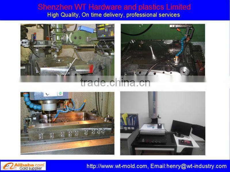 Custom precision plastic inject mold