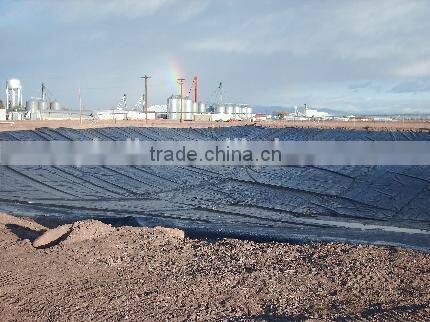China top standard HDPE geomembrane price