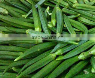 Fresh Okra for sale