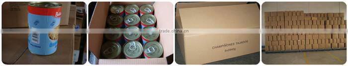 canned corn kernel 212g