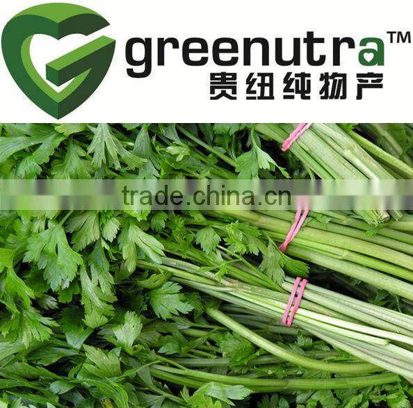 high quality 98% apigenin celery extract