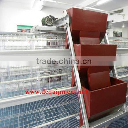 Automatic manure removal A type supplier poultry equipment