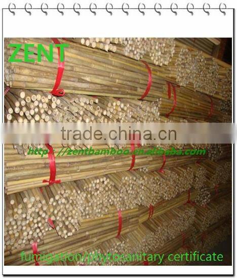 ZENT -31 bamboo pole for supporting