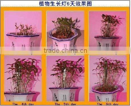 630 red 440 blue 730 IR 380uv ,120w integrated led grow light with full spectrum