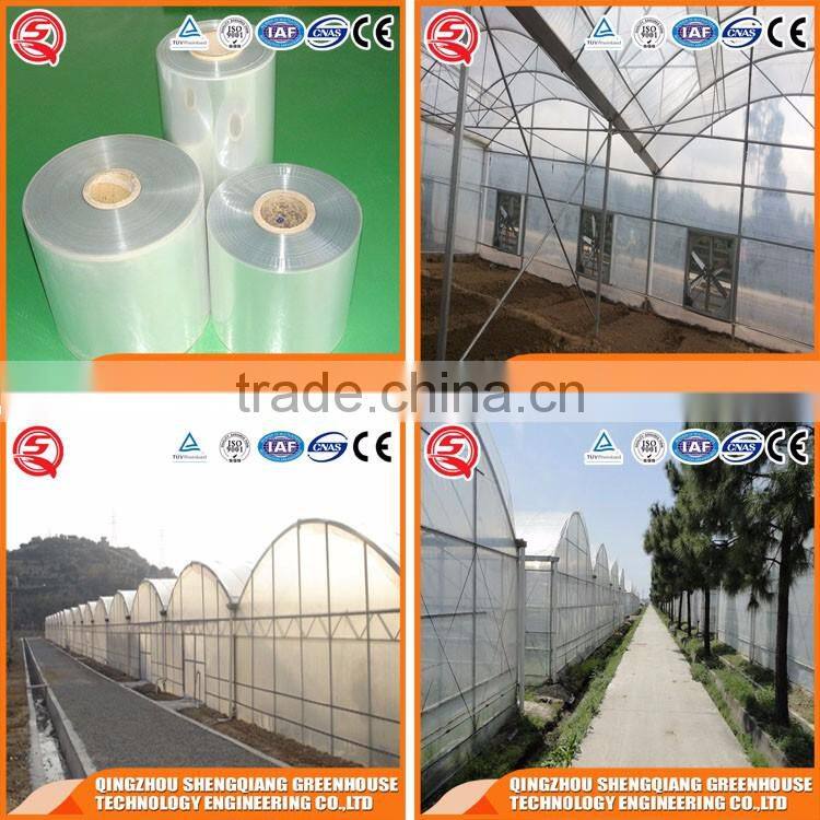 Multifunction Plastic film greenhouse for Agricultural farming