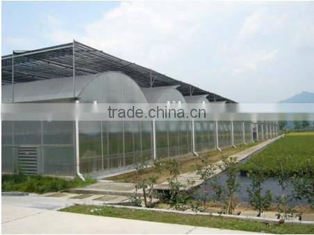 Low Cost Classic Plastic Greenhouse Film for Sale