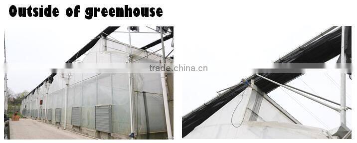 Plastic Saw tooth green houses for tropical place