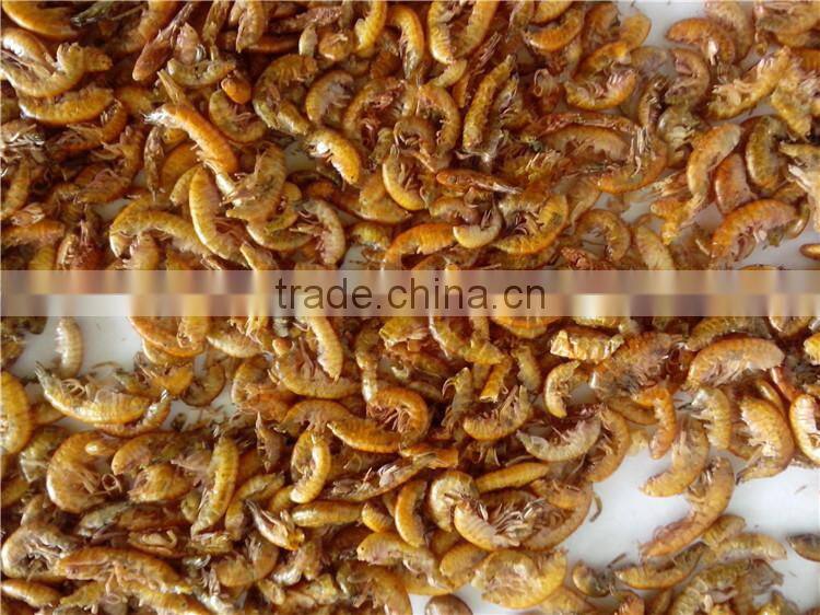 Wholesale Pet Food Freeze Dried Gammarus;Gammarus for pet food