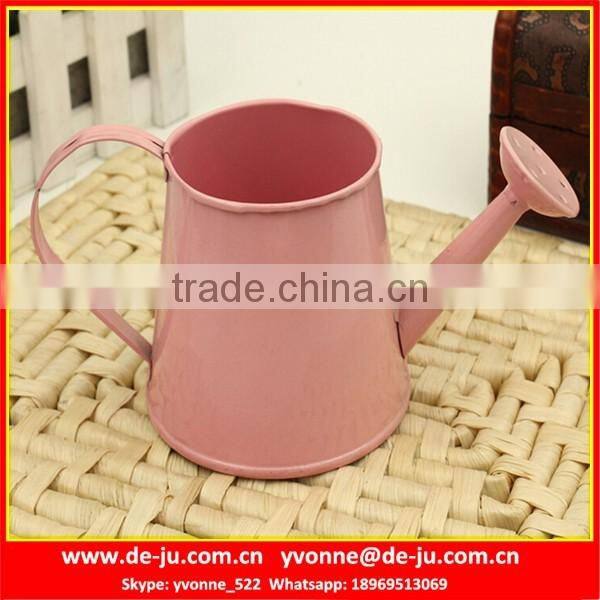 Modern Popular Metal Watering Pot