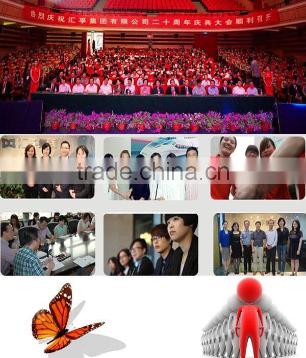 American 10x10 inch Portable Event Canopy Pop-up Folding Camping Tent