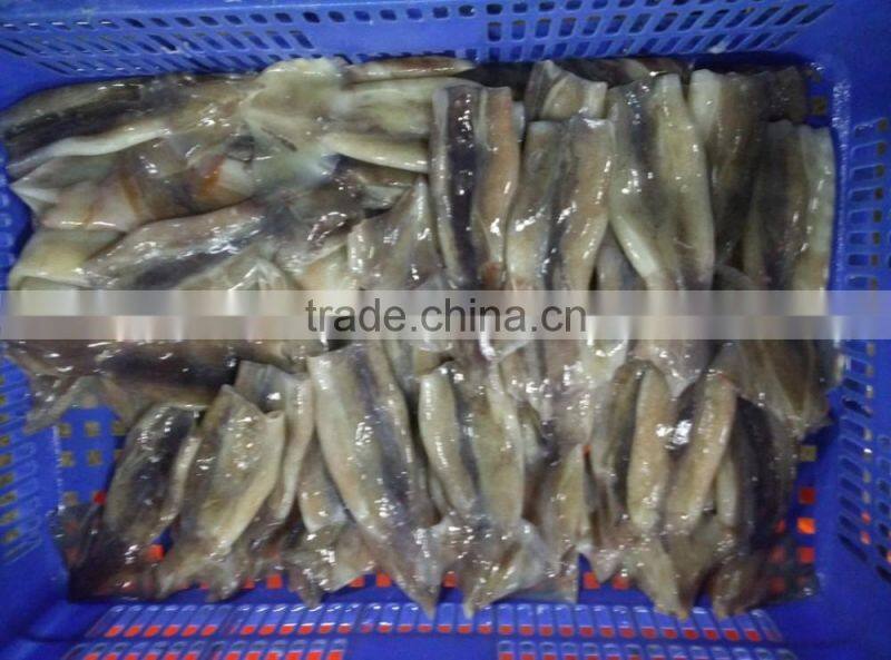 Zhengyuan Frozen Illex Squid Tube