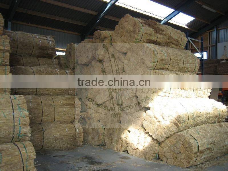 water reed thatching bundles