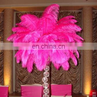 Wholesale South Africa ostrich feathers for decoration wedding ostrich feathers