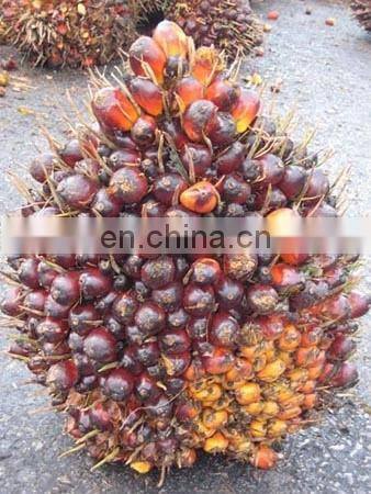 palm oil production line | palm fruit picker