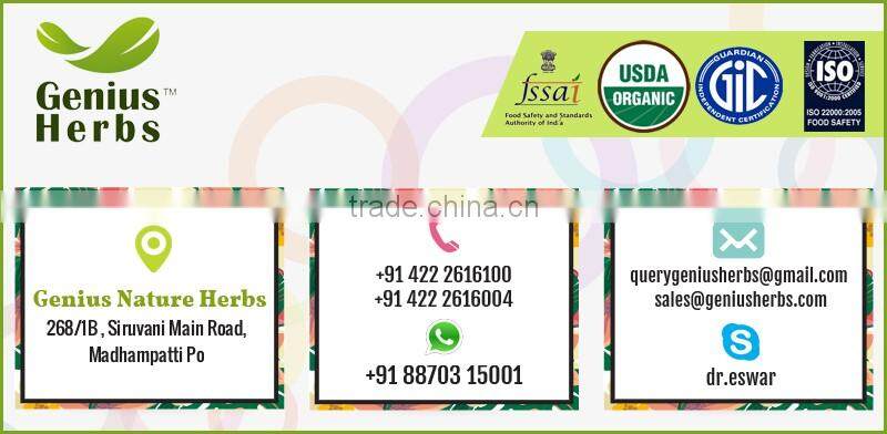 Huge Varieties of Turmeric Powder at Wholesale Rate for Bulk Sale