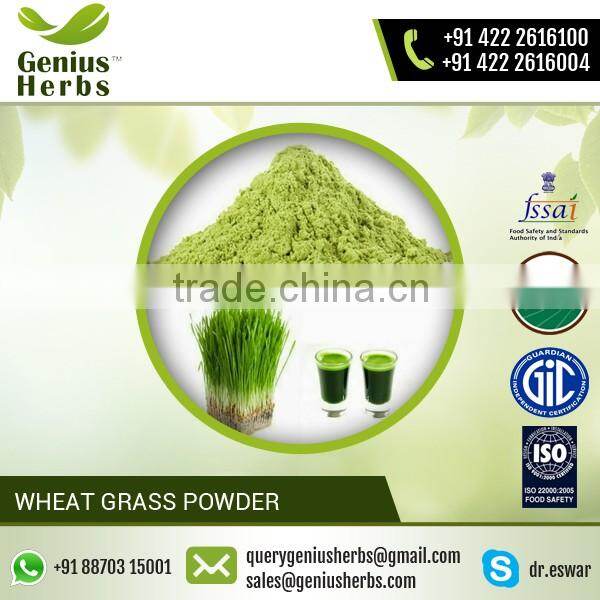 Energy Booster Wheat Grass Powder from Leading Manufacturer at Premium Rate