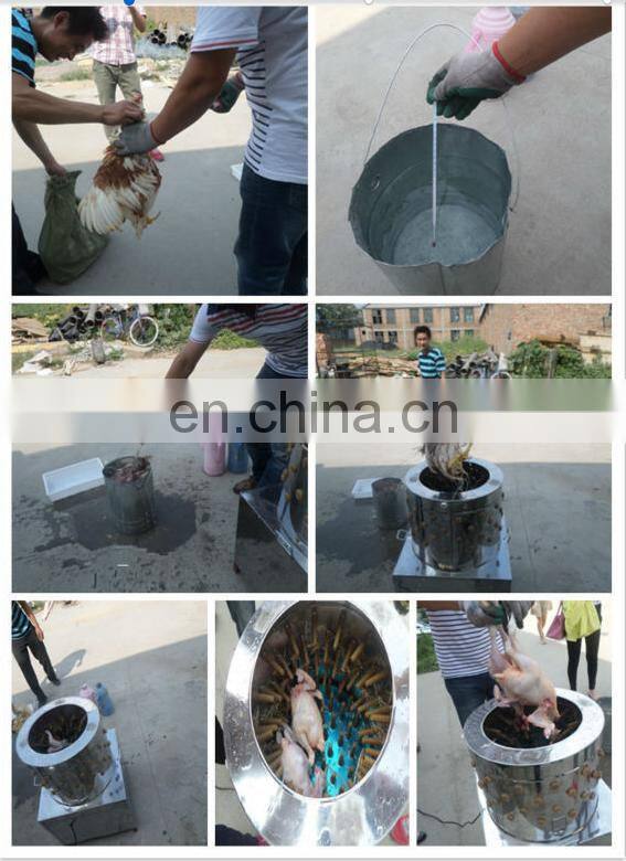 Multifunction chicken hair removing machine/goose plucker/used poultry processing equipment