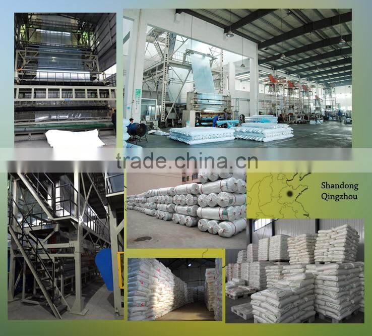 Customized degradable packing bags with great price