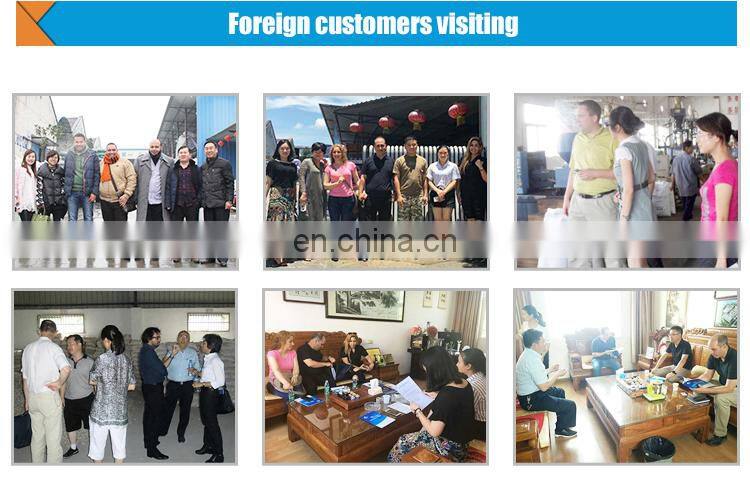 hollow clear plastic ball Polyhedral Hollow ball