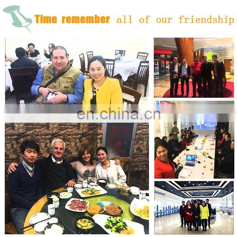 Low price electric Hazelnut nuts chestnut roasting breaking machine