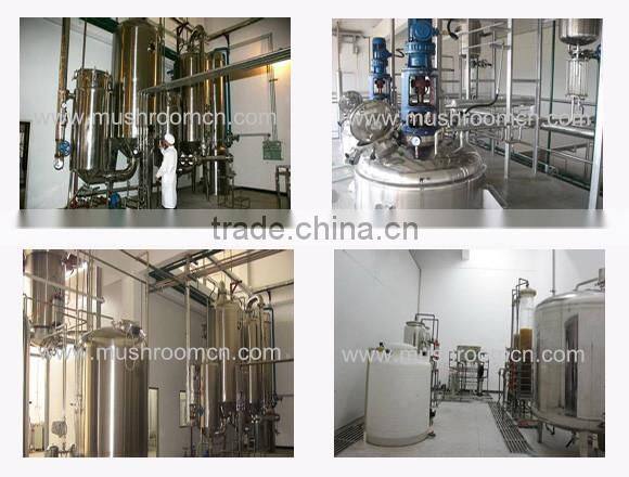 Good quality Dried Lion's Mane mushroom