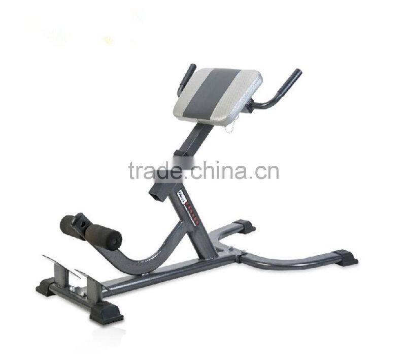 China fitness equipment/roman chair/gym chair