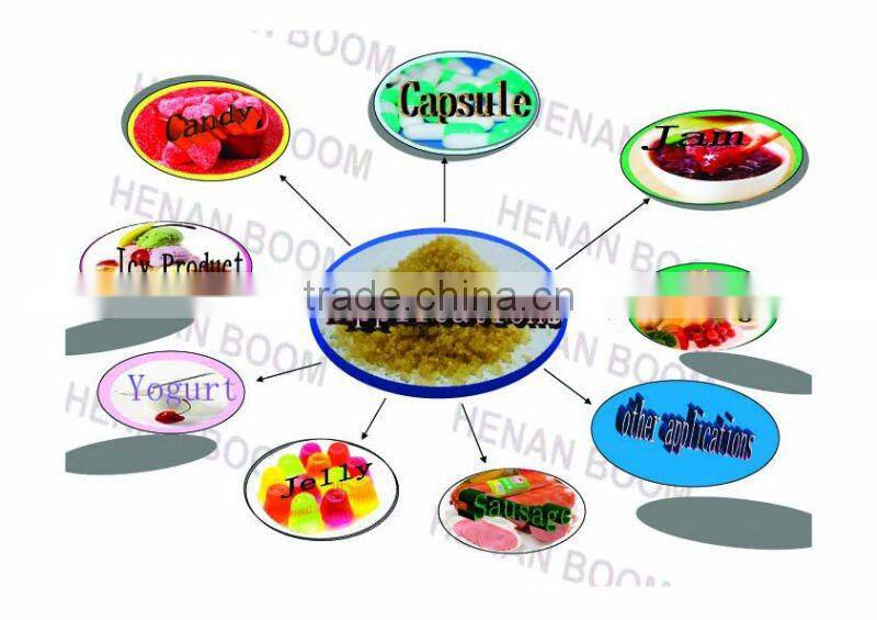 pharmaceutical gelatin/jelatin