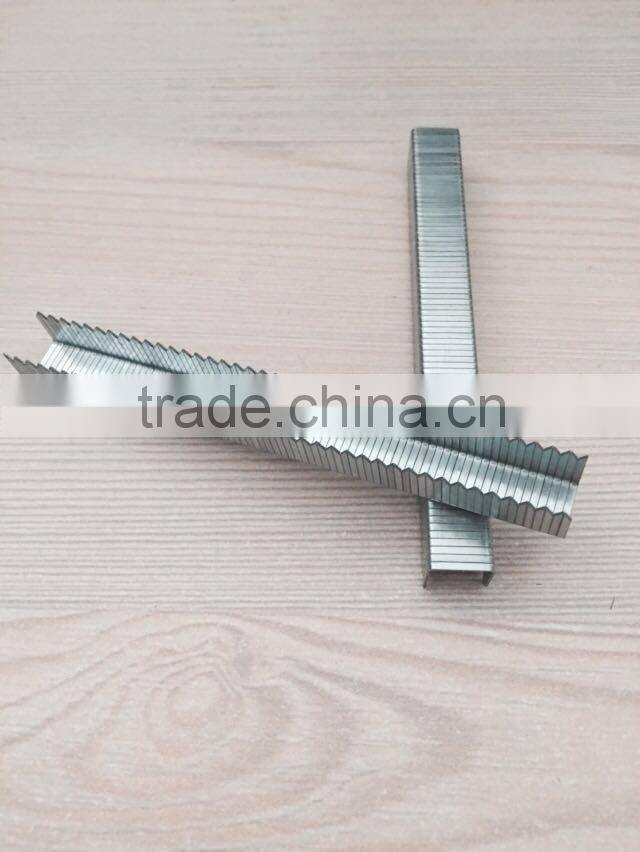T50/A11/PF type electro galvanized staples,divergent staples