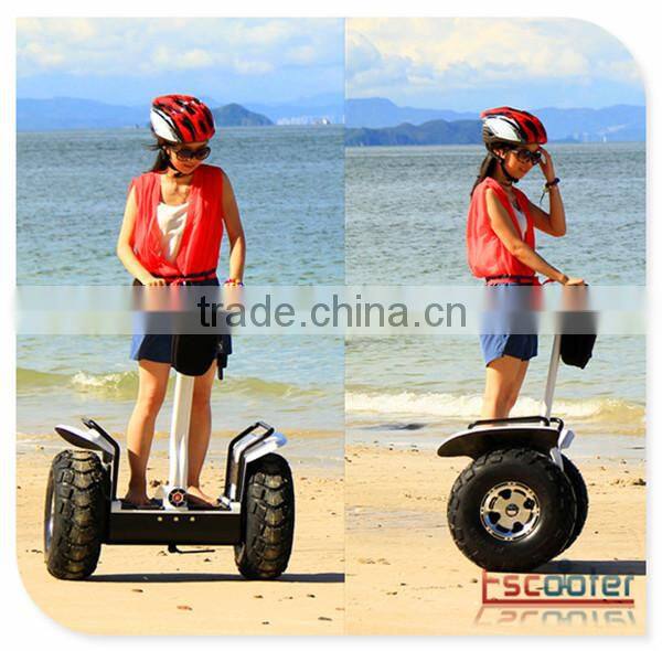 Escooter Fashion and elegant appearance 2 wheel stand up electric scooter germany street legal