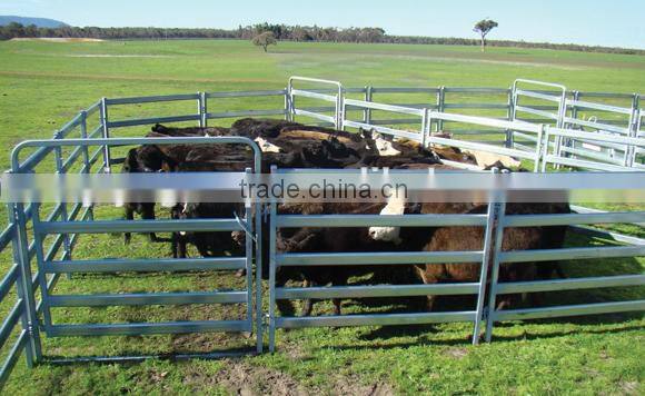 China high quality and good price farm and field fence