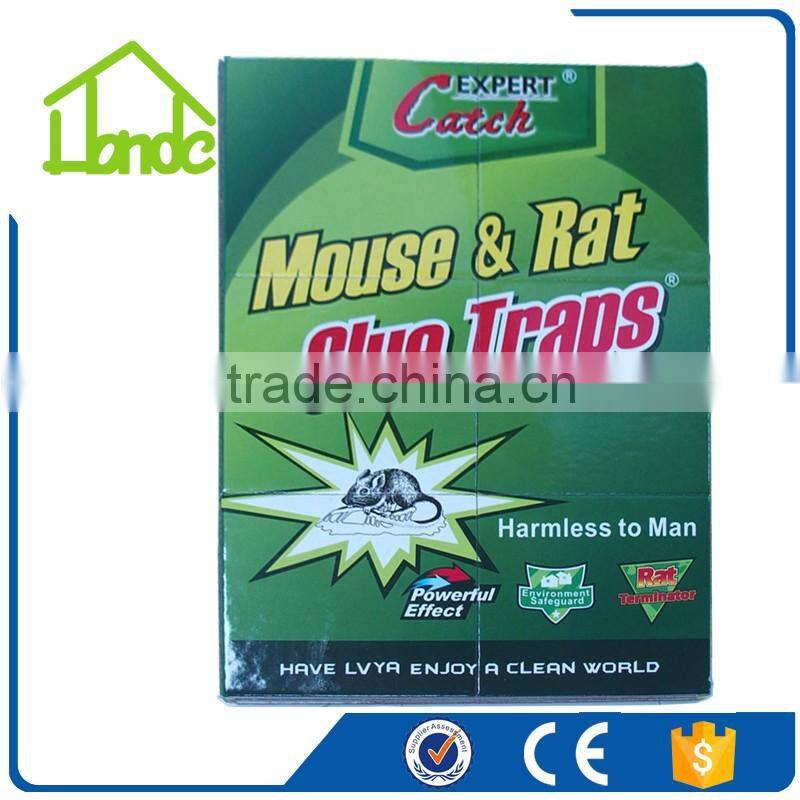 Rat Glue Trap Station HD03647