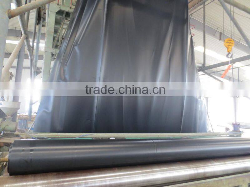 China Top class standard ASTM double side smooth HDPE geomembrane
