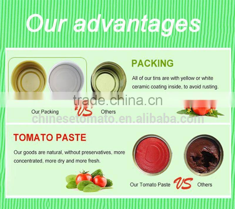 70g Wholesale Bags Tomato Sauce