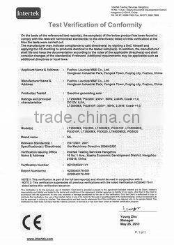 electric generator 3KW 50HZ 300RPM