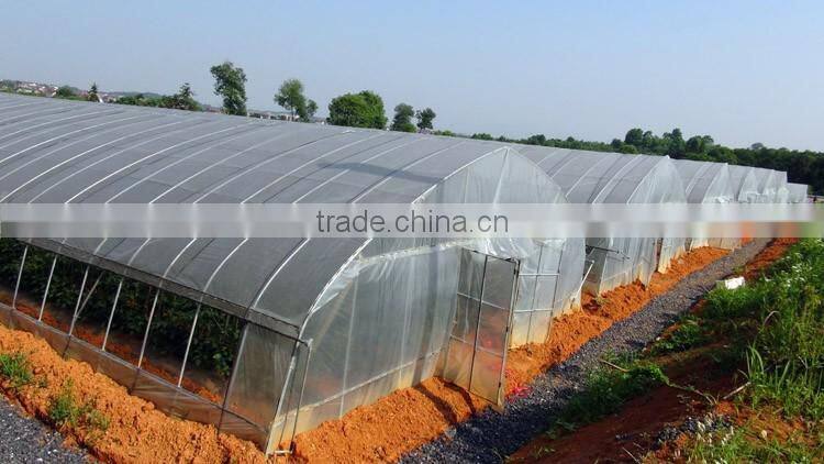 Factory Price Plastic Angricultural Greenhouses For Sale