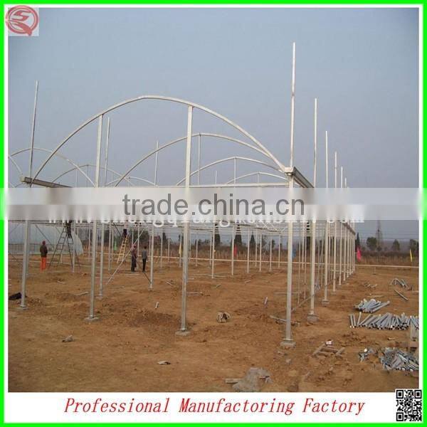 Hot sale 8.0m multi-span agriculture plastic greenhouse frame in China