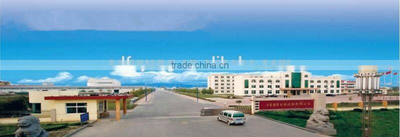 Sodium Gluconate 98% for petrochemical systerm industry