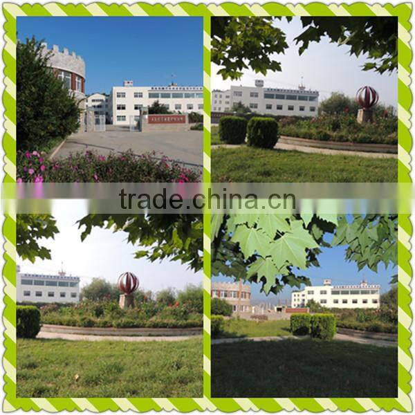 2015 goma konbu seaweed