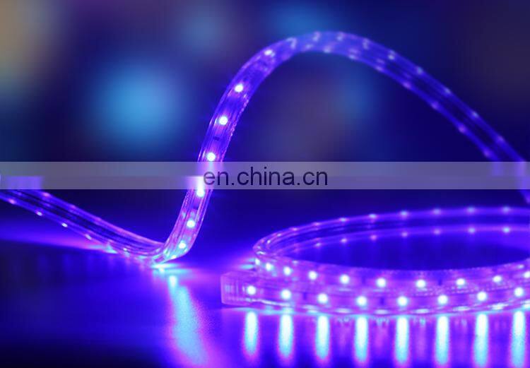 One-stop DC 12V 24V SMD 5050 RGB led light strip