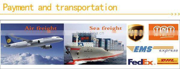 customized paper tags with string