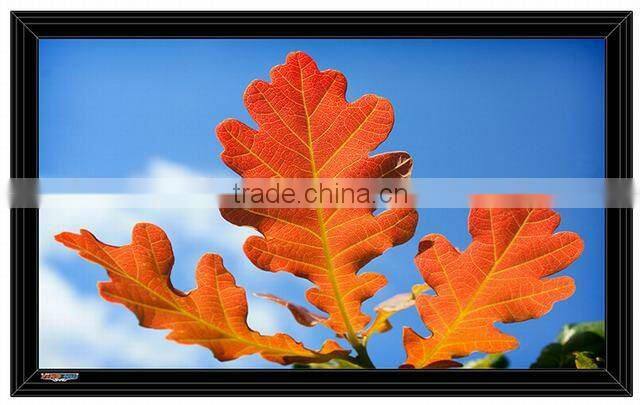 3D curved Fixed Frame Screen Projection screen