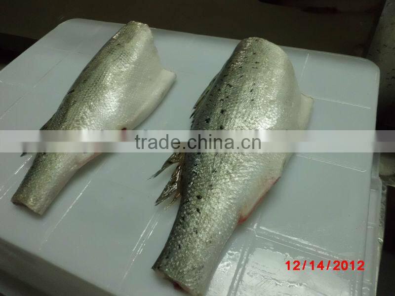 Frozen Seabass Fillet on sale