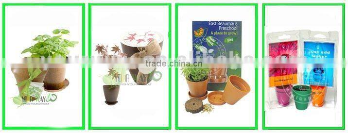 Mini Pyramid Garden, Flower Garden,Sunflower