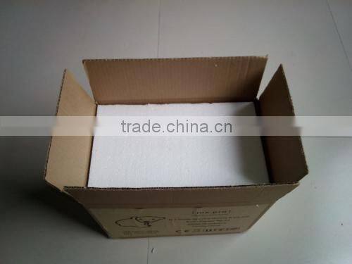 High:55CM 100LED sea bear 3D motif lights With 8 functions