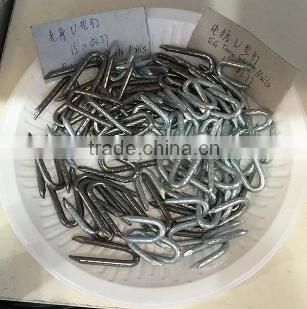 U staple nails