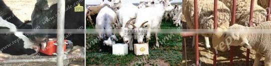 CE marked animal licking salt block machine