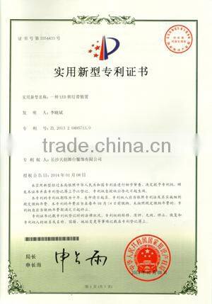 LED Belly Dance Wings / Remote Controlled Butteryfly Wings for Stage Performance