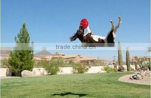 UFO frisbee disk Children flying disc for dog