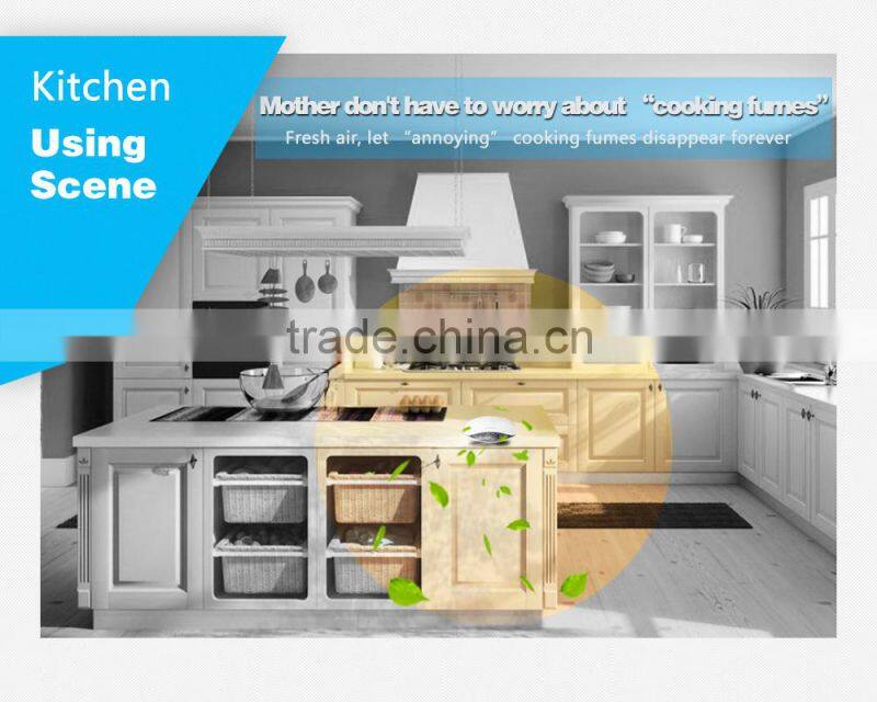 Portable Prevent mist haze air purifier for car