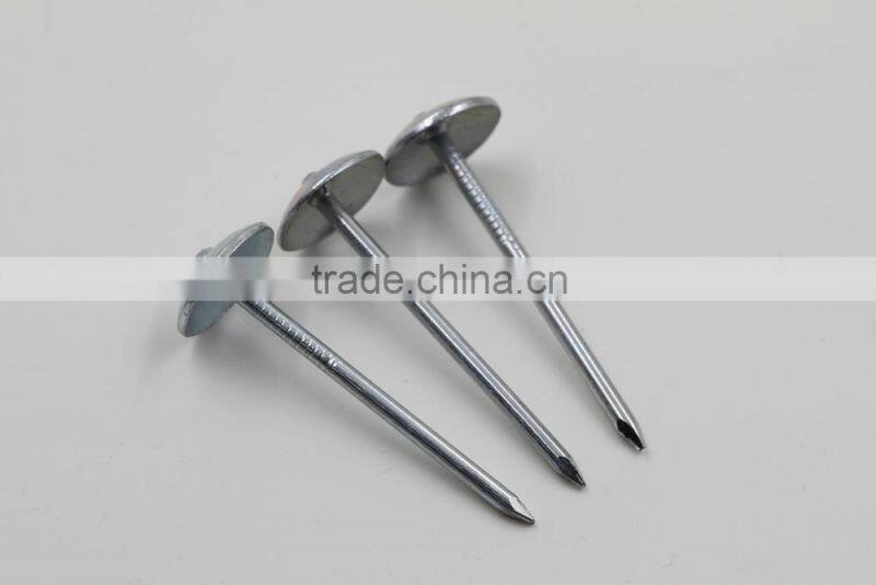 Galvanized Umbrella large head roofing nails